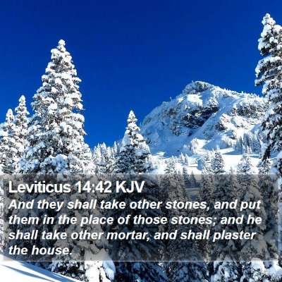 Leviticus 14:42 KJV Bible Verse Image