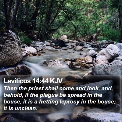 Leviticus 14:44 KJV Bible Verse Image