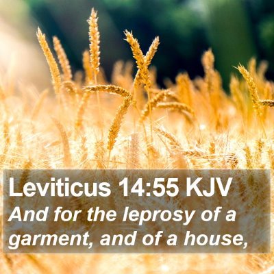 Leviticus 14:55 KJV Bible Verse Image