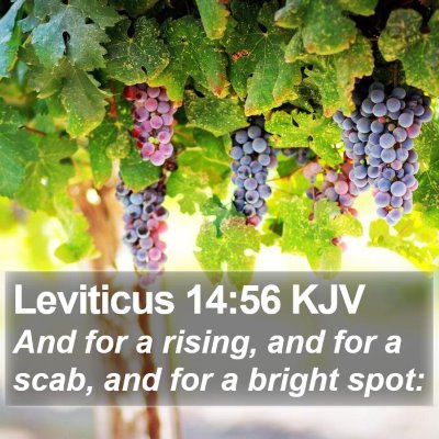 Leviticus 14:56 KJV Bible Verse Image