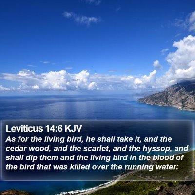 Leviticus 14:6 KJV Bible Verse Image