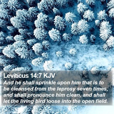 Leviticus 14:7 KJV Bible Verse Image