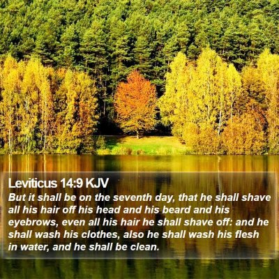 Leviticus 14:9 KJV Bible Verse Image