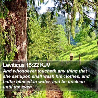 Leviticus 15:22 KJV Bible Verse Image