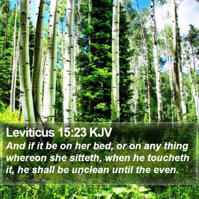 Leviticus 15:23 KJV Bible Verse Image