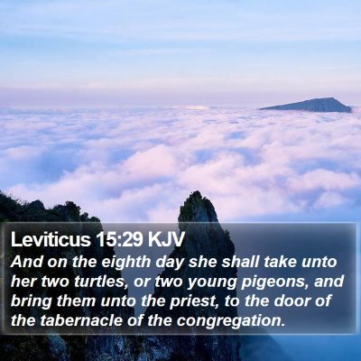 Leviticus 15:29 KJV Bible Verse Image