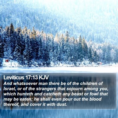 Leviticus 17:13 KJV Bible Verse Image