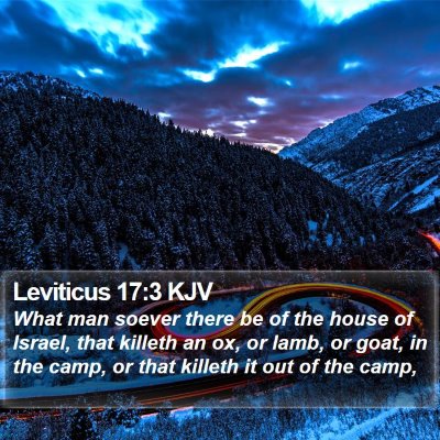 Leviticus 17:3 KJV Bible Verse Image