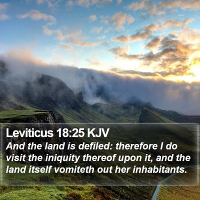 Leviticus 18:25 KJV Bible Verse Image