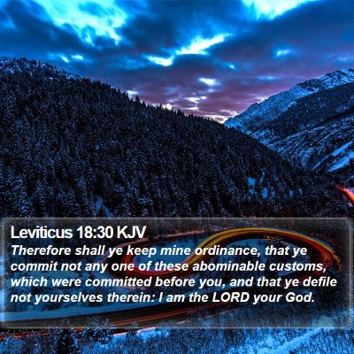 Leviticus 18:30 KJV Bible Verse Image