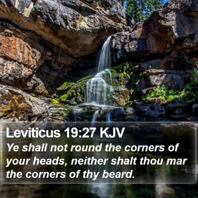 Leviticus 19:27 KJV Bible Verse Image