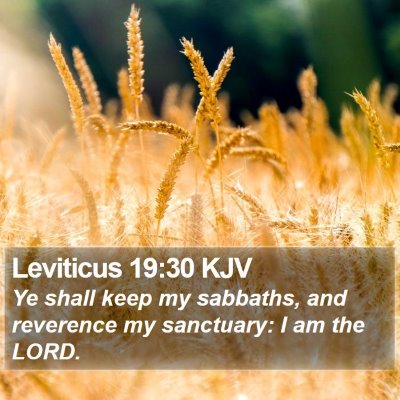 Leviticus 19:30 KJV Bible Verse Image