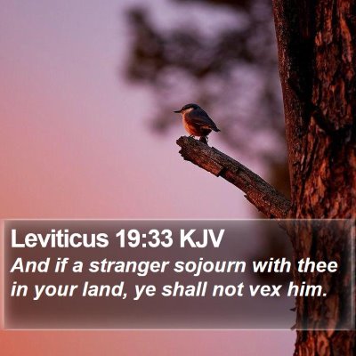 Leviticus 19:33 KJV Bible Verse Image