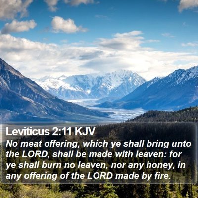 Leviticus 2:11 KJV Bible Verse Image