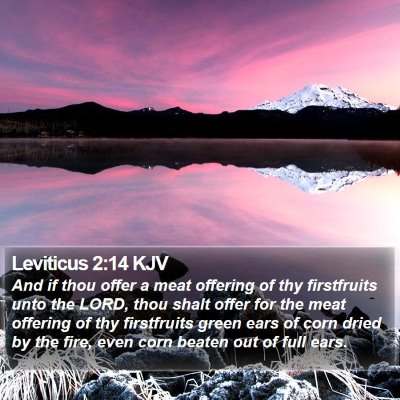Leviticus 2:14 KJV Bible Verse Image