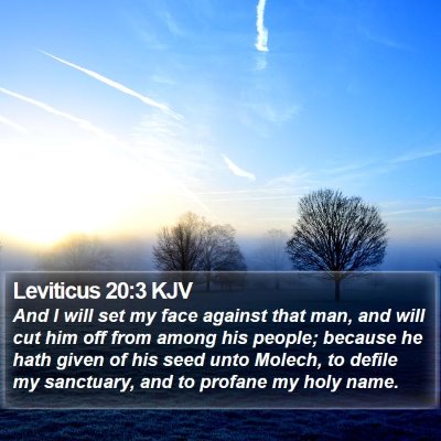 Leviticus 20:3 KJV Bible Verse Image