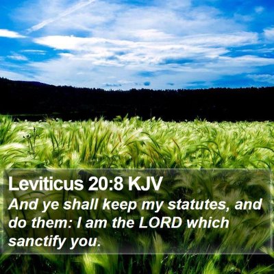 Leviticus 20:8 KJV Bible Verse Image