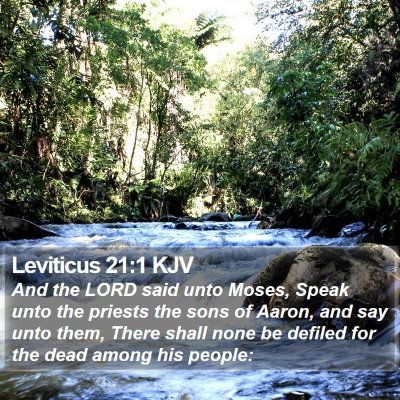 Leviticus 21:1 KJV Bible Verse Image
