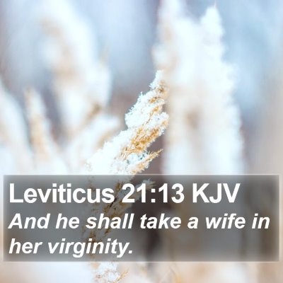 Leviticus 21:13 KJV Bible Verse Image