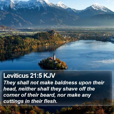 Leviticus 21:5 KJV Bible Verse Image