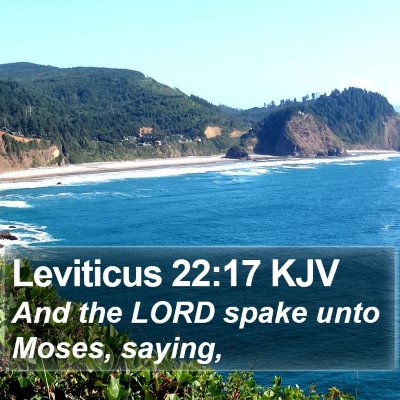 Leviticus 22:17 KJV Bible Verse Image