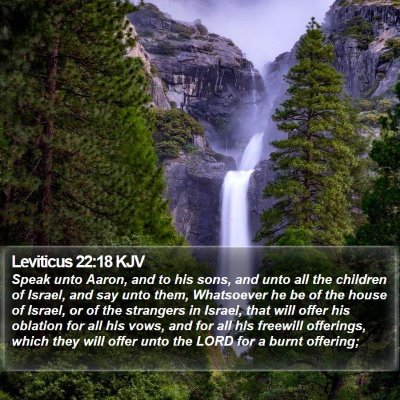 Leviticus 22:18 KJV Bible Verse Image