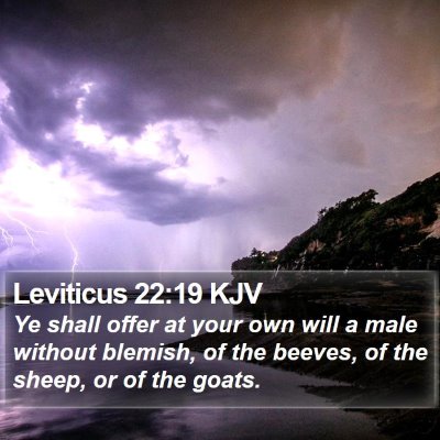 Leviticus 22:19 KJV Bible Verse Image