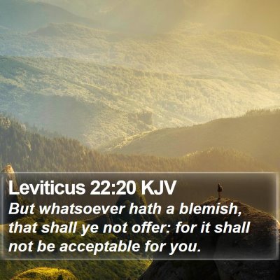 Leviticus 22:20 KJV Bible Verse Image