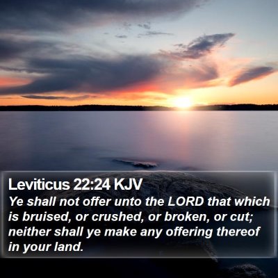 Leviticus 22:24 KJV Bible Verse Image