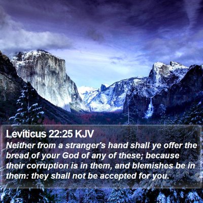 Leviticus 22:25 KJV Bible Verse Image