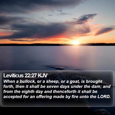 Leviticus 22:27 KJV Bible Verse Image
