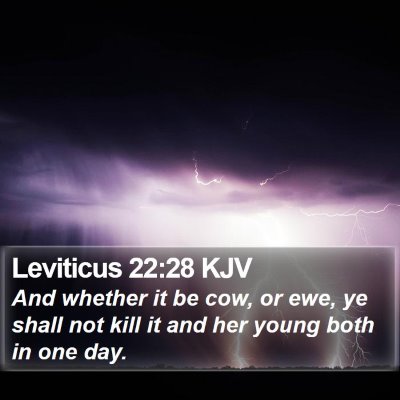 Leviticus 22:28 KJV Bible Verse Image