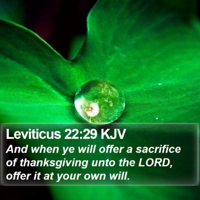 Leviticus 22:29 KJV Bible Verse Image