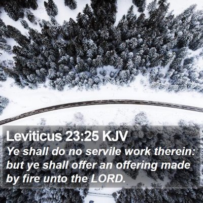 Leviticus 23:25 KJV Bible Verse Image