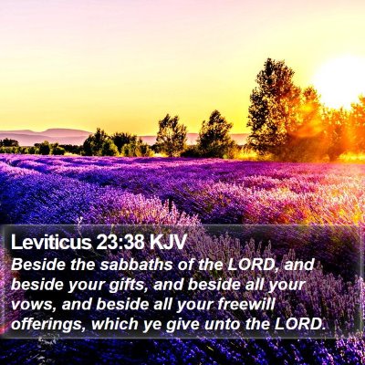 Leviticus 23:38 KJV Bible Verse Image