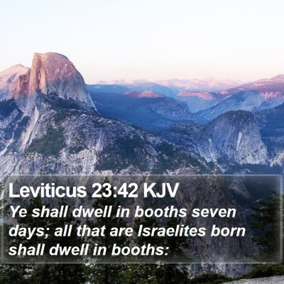 Leviticus 23:42 KJV Bible Verse Image
