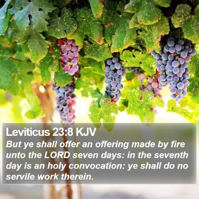 Leviticus 23:8 KJV Bible Verse Image