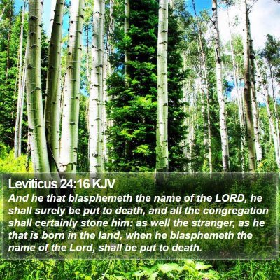 Leviticus 24:16 KJV Bible Verse Image