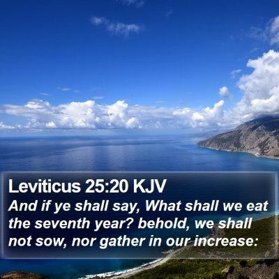 Leviticus 25:20 KJV Bible Verse Image
