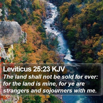Leviticus 25:23 KJV Bible Verse Image