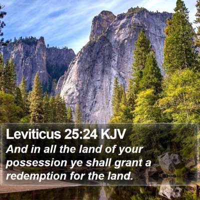 Leviticus 25:24 KJV Bible Verse Image
