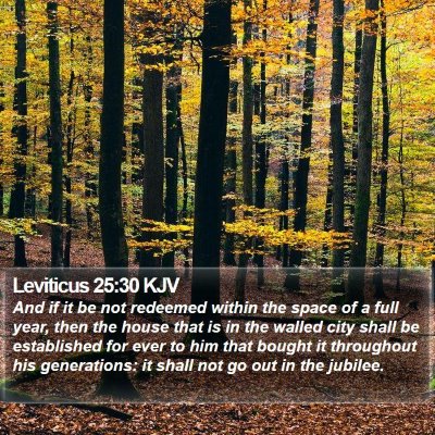 Leviticus 25:30 KJV Bible Verse Image