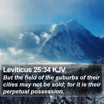 Leviticus 25:34 KJV Bible Verse Image