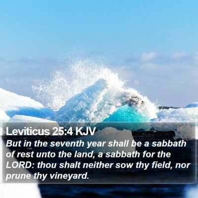 Leviticus 25:4 KJV Bible Verse Image