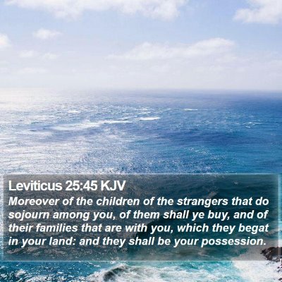Leviticus 25:45 KJV Bible Verse Image