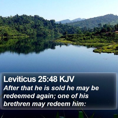 Leviticus 25:48 KJV Bible Verse Image