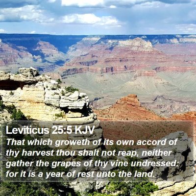 Leviticus 25:5 KJV Bible Verse Image