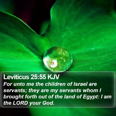 Leviticus 25:55 KJV Bible Verse Image