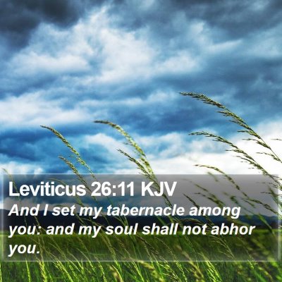 Leviticus 26:11 KJV Bible Verse Image