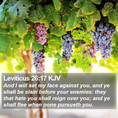 Leviticus 26:17 KJV Bible Verse Image